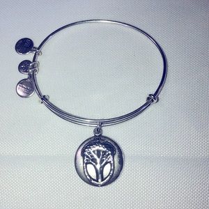 Alex and Ani Silver Unexpected Miracles Acorn